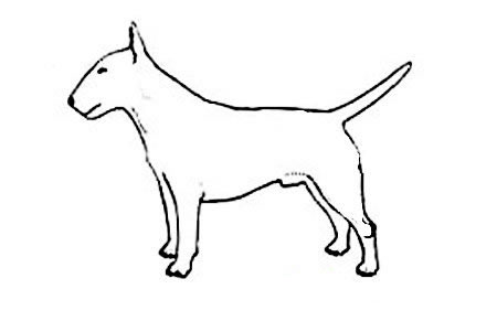 行走的狗狗<a href=http://www.inspiredelm.com/ertonghua/ target=_blank class=infotextkey>兒童畫(huà)</a>圖片_行走的狗狗兒童繪畫(huà)圖集
