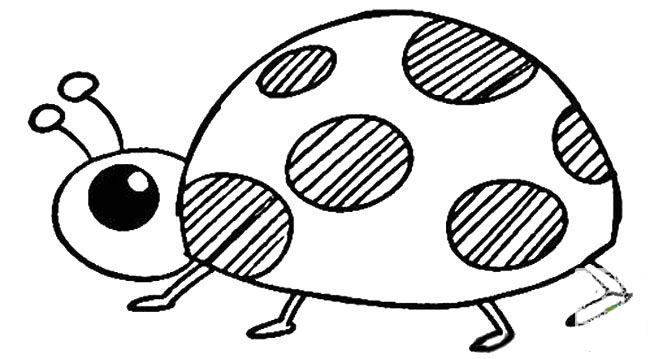 早教七星瓢蟲<a href=http://www.inspiredelm.com/jianbihua/ target=_blank class=infotextkey>簡(jiǎn)筆畫</a>圖片_七星瓢蟲兒童繪畫作品圖集