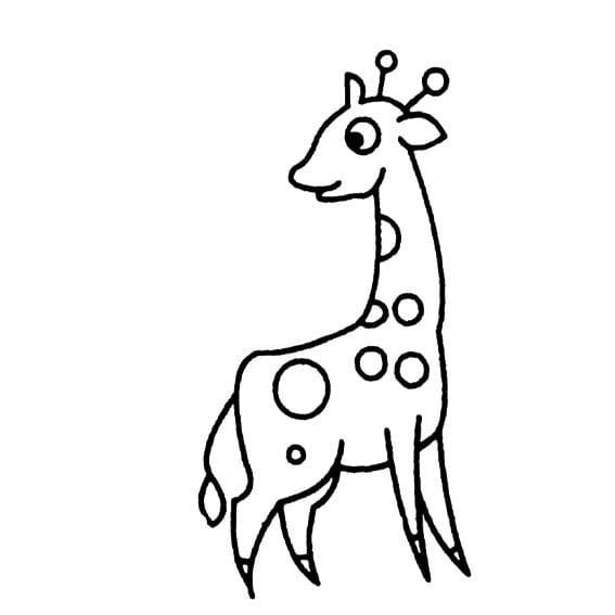 長頸鹿吃樹葉<a href=http://www.inspiredelm.com/jianbihua/ target=_blank class=infotextkey>簡筆畫</a>圖片_長頸鹿吃樹葉兒童繪畫圖集