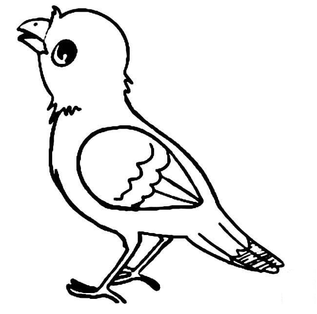 漂亮的小鳥兒童<a href=http://www.inspiredelm.com/jianbihua/ target=_blank class=infotextkey>簡筆畫</a>圖片_小鳥兒童繪畫作品圖集