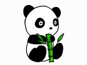 小熊貓怎么畫一步一步