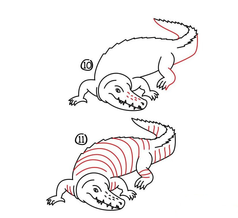 鱷魚<a href=http://www.inspiredelm.com/jianbihua/ target=_blank class=infotextkey>簡筆畫</a>圖片_鱷魚兒童繪畫圖集