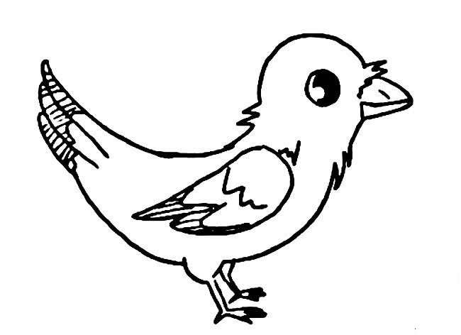 漂亮的小鳥兒童<a href=http://www.inspiredelm.com/jianbihua/ target=_blank class=infotextkey>簡筆畫</a>圖片_小鳥兒童繪畫作品圖集