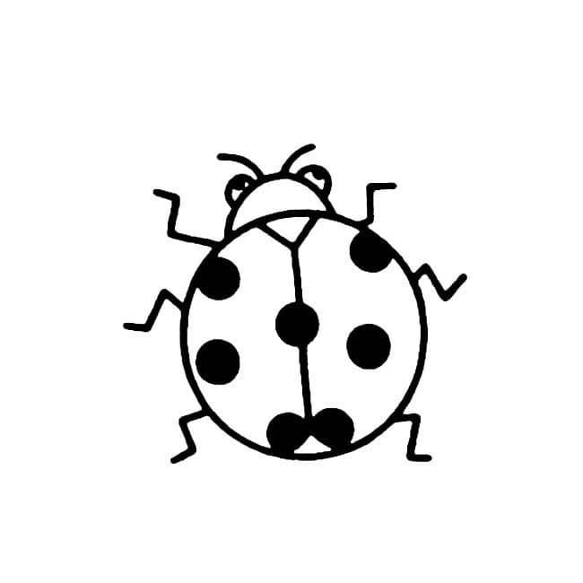 七星瓢蟲<a href=http://www.inspiredelm.com/jianbihua/ target=_blank class=infotextkey>簡筆畫</a>圖片_瓢蟲兒童繪畫作品圖集