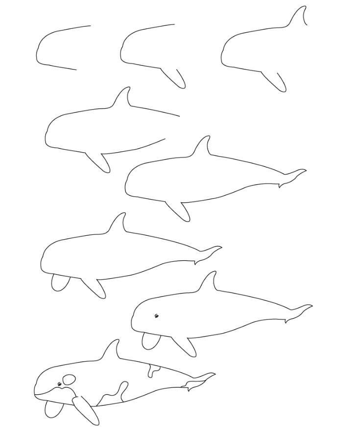 鯨魚怎么畫_簡(jiǎn)單的鯨魚<a href=http://www.inspiredelm.com/ertonghua/ target=_blank class=infotextkey>兒童畫</a>作品