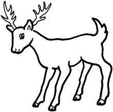 漂亮的小鹿<a href=http://www.inspiredelm.com/ertonghua/ target=_blank class=infotextkey>兒童畫</a>圖片_漂亮的小鹿兒童繪畫圖集