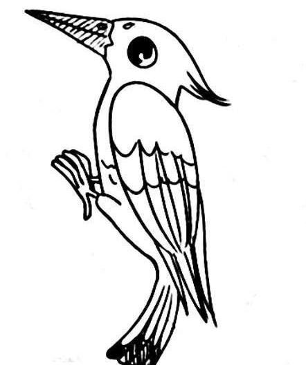 樹上的啄木鳥兒童<a href=http://www.inspiredelm.com/jianbihua/ target=_blank class=infotextkey>簡筆畫</a>圖片_啄木鳥兒童繪畫作品圖集