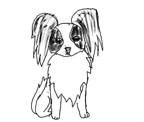 漂亮的小狗<a href=http://www.inspiredelm.com/ertonghua/ target=_blank class=infotextkey>兒童畫</a>圖片_漂亮的小狗兒童繪畫圖集