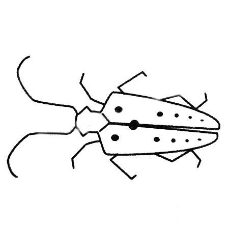 卡通的天牛兒童<a href=http://www.inspiredelm.com/jianbihua/ target=_blank class=infotextkey>簡筆畫</a>圖片_兒童繪畫作品圖集