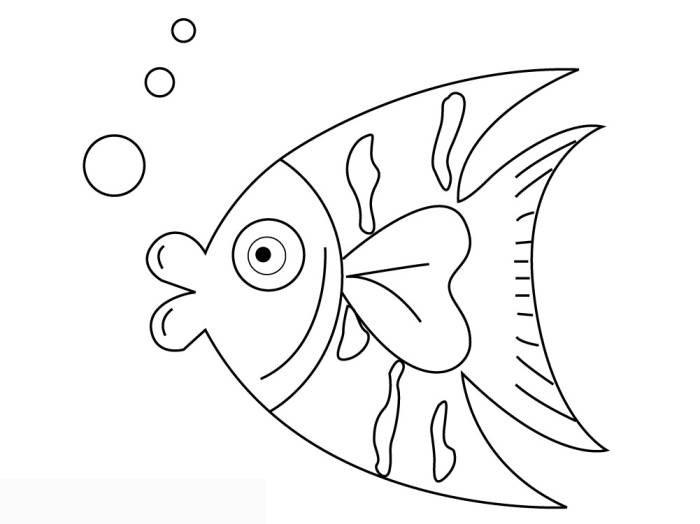 可愛的小魚_卡通動(dòng)畫簡(jiǎn)筆畫