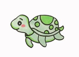 海龜怎么畫(huà)？