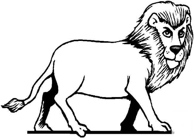 威武的獅子<a href=http://www.inspiredelm.com/jianbihua/ target=_blank class=infotextkey>簡(jiǎn)筆畫</a>圖片_獅子兒童繪畫作品圖集
