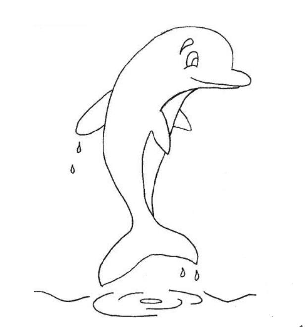 水面的海豚兒童畫圖片_水面的海豚兒童繪畫圖集