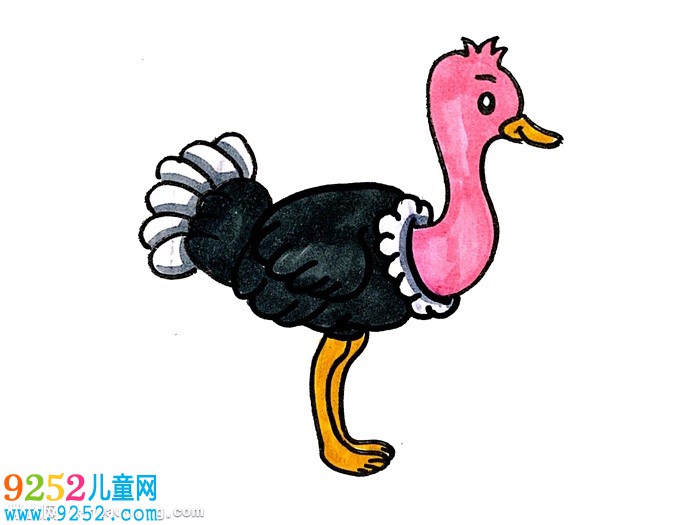 鴕鳥怎么畫簡單又好看