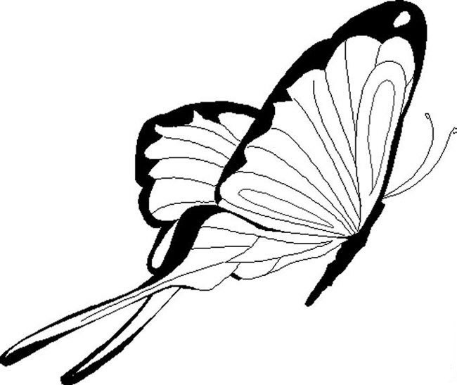 蝴蝶采花蜜兒童<a href=http://www.inspiredelm.com/jianbihua/ target=_blank class=infotextkey>簡筆畫</a>圖片_蝴蝶兒童繪畫作品圖集