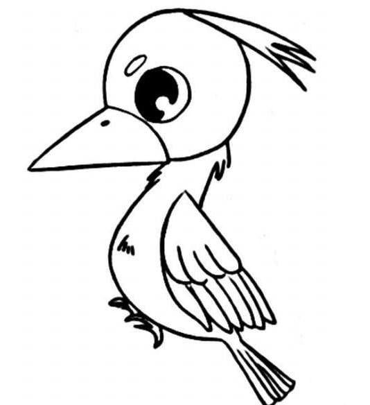 樹上的啄木鳥兒童<a href=http://www.inspiredelm.com/jianbihua/ target=_blank class=infotextkey>簡筆畫</a>圖片_啄木鳥兒童繪畫作品圖集