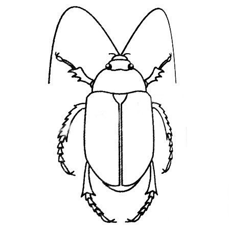 甲蟲兒童<a href=http://www.inspiredelm.com/jianbihua/ target=_blank class=infotextkey>簡筆畫</a>圖片_甲蟲兒童繪畫作品圖集
