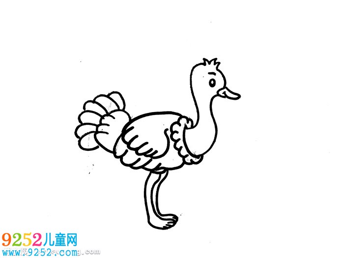 鴕鳥怎么畫簡單又好看