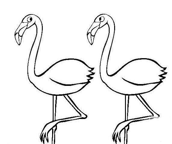 火烈鳥<a href=http://www.inspiredelm.com/ertonghua/ target=_blank class=infotextkey>兒童畫</a>圖片_火烈鳥兒童繪畫圖集
