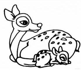 漂亮的小鹿<a href=http://www.inspiredelm.com/ertonghua/ target=_blank class=infotextkey>兒童畫</a>圖片_漂亮的小鹿兒童繪畫圖集