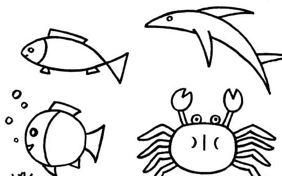 海里的魚兒