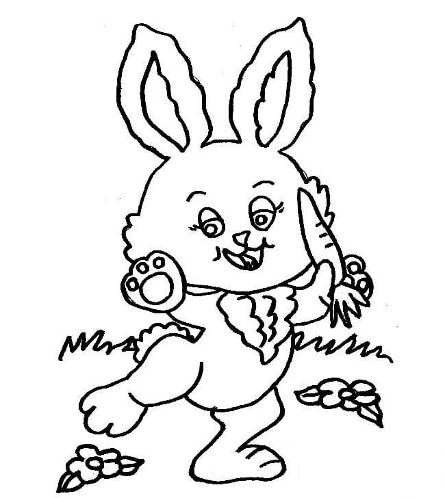 小白兔拔蘿卜兒童<a href=http://www.inspiredelm.com/jianbihua/ target=_blank class=infotextkey>簡(jiǎn)筆畫</a>圖片_白兔兒童繪畫作品圖集