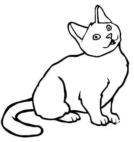 行走的貓咪<a href=http://www.inspiredelm.com/ertonghua/ target=_blank class=infotextkey>兒童畫(huà)</a>圖片_行走的貓咪兒童繪畫(huà)圖集