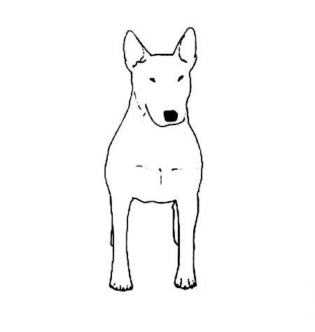 行走的狗狗<a href=http://www.inspiredelm.com/ertonghua/ target=_blank class=infotextkey>兒童畫(huà)</a>圖片_行走的狗狗兒童繪畫(huà)圖集