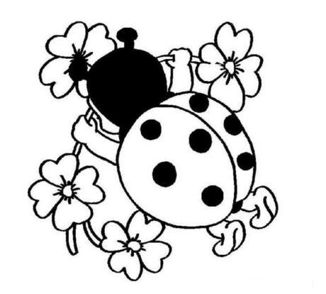 七星瓢蟲和花朵<a href=http://www.inspiredelm.com/jianbihua/ target=_blank class=infotextkey>簡筆畫</a>圖片_七星瓢蟲和花朵兒童繪畫圖集