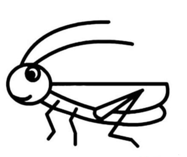 蚱蜢<a href=http://www.inspiredelm.com/ertonghua/ target=_blank class=infotextkey>兒童畫</a>圖片_蚱蜢兒童繪畫圖集