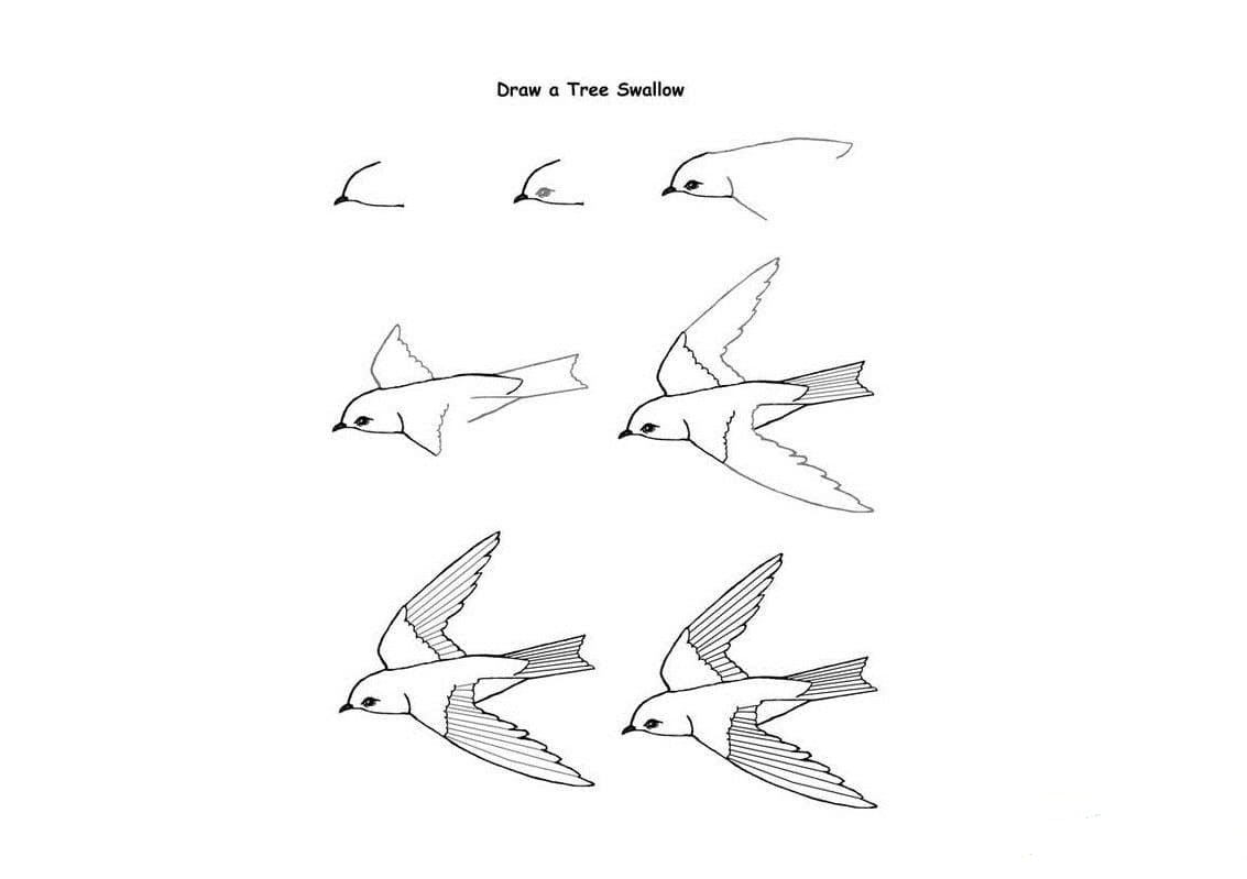 小燕子怎么畫_飛行的小燕子<a href=http://www.inspiredelm.com/ertonghua/ target=_blank class=infotextkey>兒童畫</a>作品