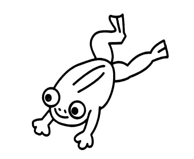 跳躍的小青蛙<a href=http://www.inspiredelm.com/ertonghua/ target=_blank class=infotextkey>兒童畫</a>圖片_跳躍的小青蛙兒童繪畫圖集