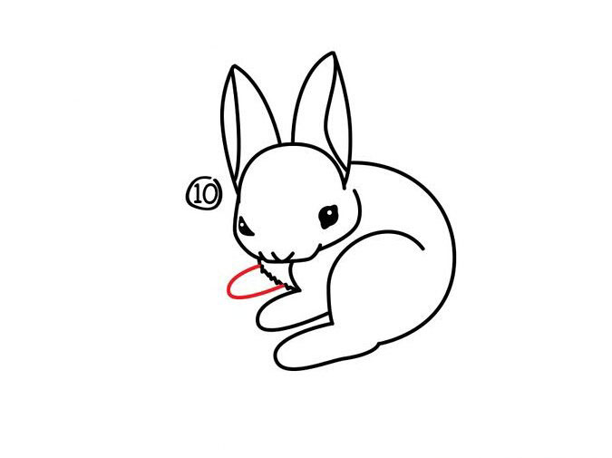 小白兔<a href=http://www.inspiredelm.com/jianbihua/ target=_blank class=infotextkey>簡筆畫</a>圖片_小白兔兒童繪畫圖集