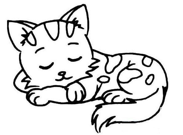 睡覺的貓咪兒童<a href=http://www.inspiredelm.com/jianbihua/ target=_blank class=infotextkey>簡筆畫</a>圖片_貓咪兒童繪畫作品圖集