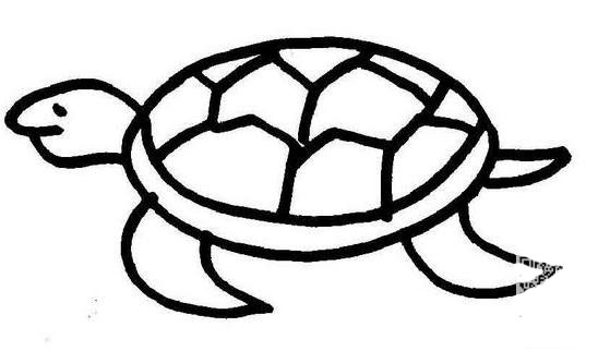 爬行的烏龜兒童<a href=http://www.inspiredelm.com/jianbihua/ target=_blank class=infotextkey>簡(jiǎn)筆畫(huà)</a>圖片_烏龜兒童繪畫(huà)作品圖集