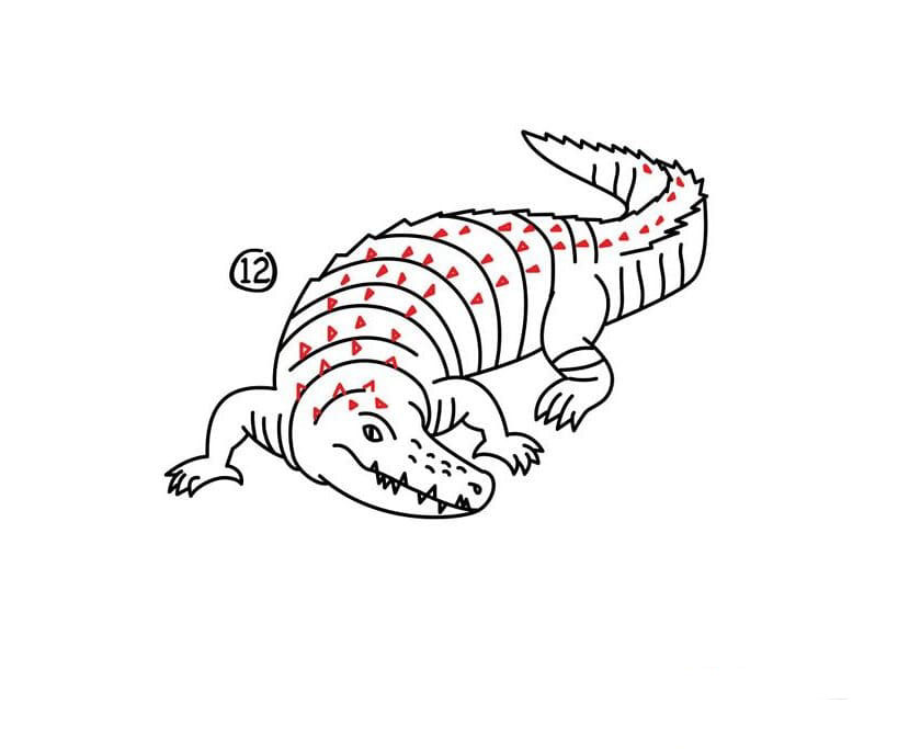 鱷魚<a href=http://www.inspiredelm.com/jianbihua/ target=_blank class=infotextkey>簡筆畫</a>圖片_鱷魚兒童繪畫圖集