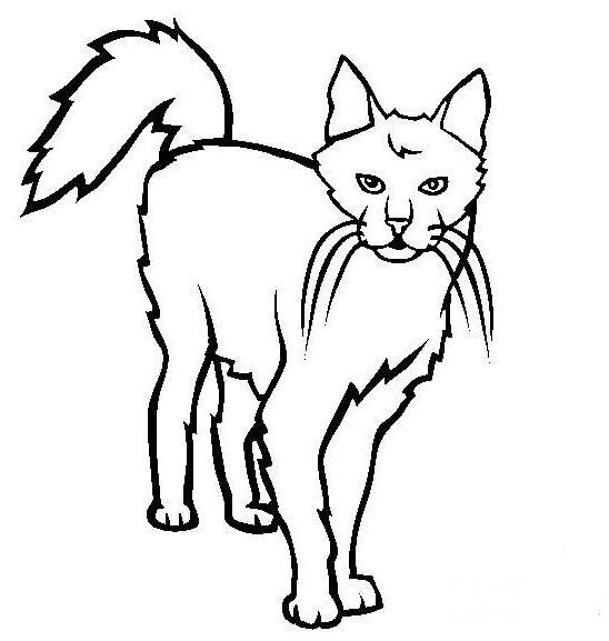 可愛小貓<a href=http://www.inspiredelm.com/ertonghua/ target=_blank class=infotextkey>兒童畫</a>圖片_可愛小貓兒童繪畫圖集