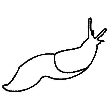 鼻涕蟲(chóng)兒童<a href=http://www.inspiredelm.com/jianbihua/ target=_blank class=infotextkey>簡(jiǎn)筆畫(huà)</a>圖片_鼻涕蟲(chóng)兒童繪畫(huà)作品圖集
