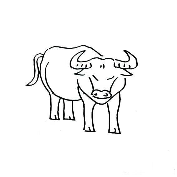 卡通的牛<a href=http://www.inspiredelm.com/jianbihua/ target=_blank class=infotextkey>簡(jiǎn)筆畫(huà)</a>圖片_卡通的牛兒童繪畫(huà)圖集