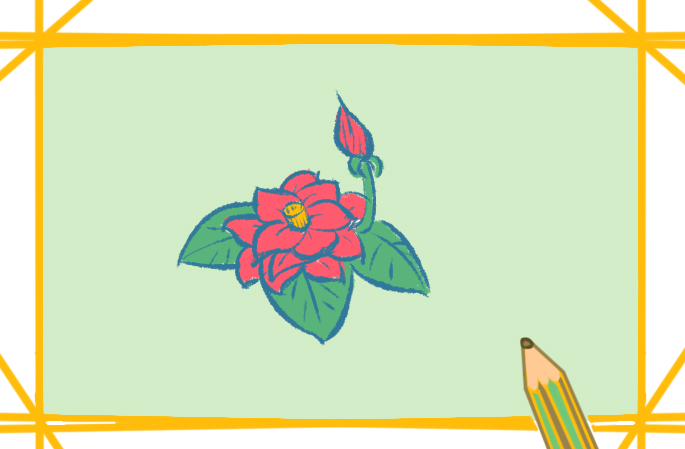 薔薇簡筆畫簡單又漂亮彩色圖片_薔薇簡筆畫圖片大全