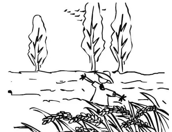 大自然風(fēng)景兒童簡筆畫