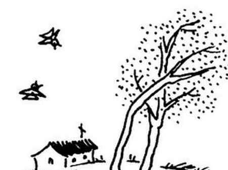 美麗的鄉(xiāng)村簡(jiǎn)筆