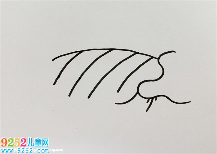 稻田怎么畫