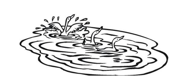 池塘風(fēng)景簡(jiǎn)筆畫