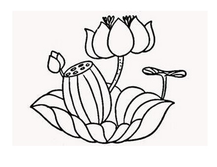 夏天池塘之美景-夏天荷花風(fēng)景簡(jiǎn)筆畫(huà)