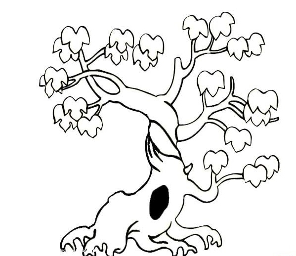 風(fēng)景簡筆畫_美麗的樹木