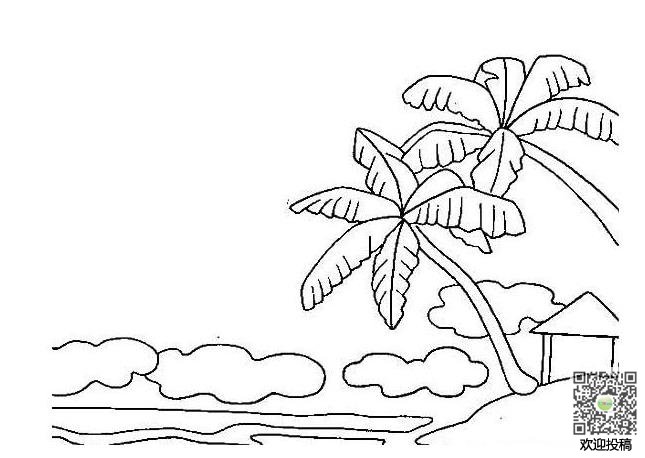 有關(guān)海邊椰樹風(fēng)景簡筆畫圖片欣賞