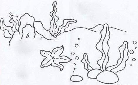 海底世界風景簡筆畫-神奇的海洋