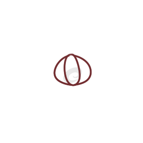 春節(jié)彩色燈籠兒童簡(jiǎn)筆