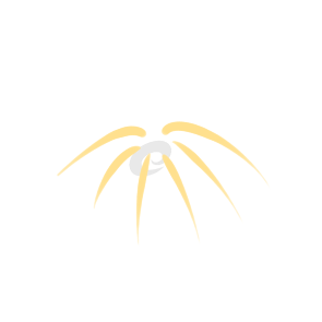 春節(jié)放煙花簡筆怎么畫